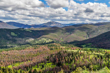 A view of the mountains outside Helena, Montana